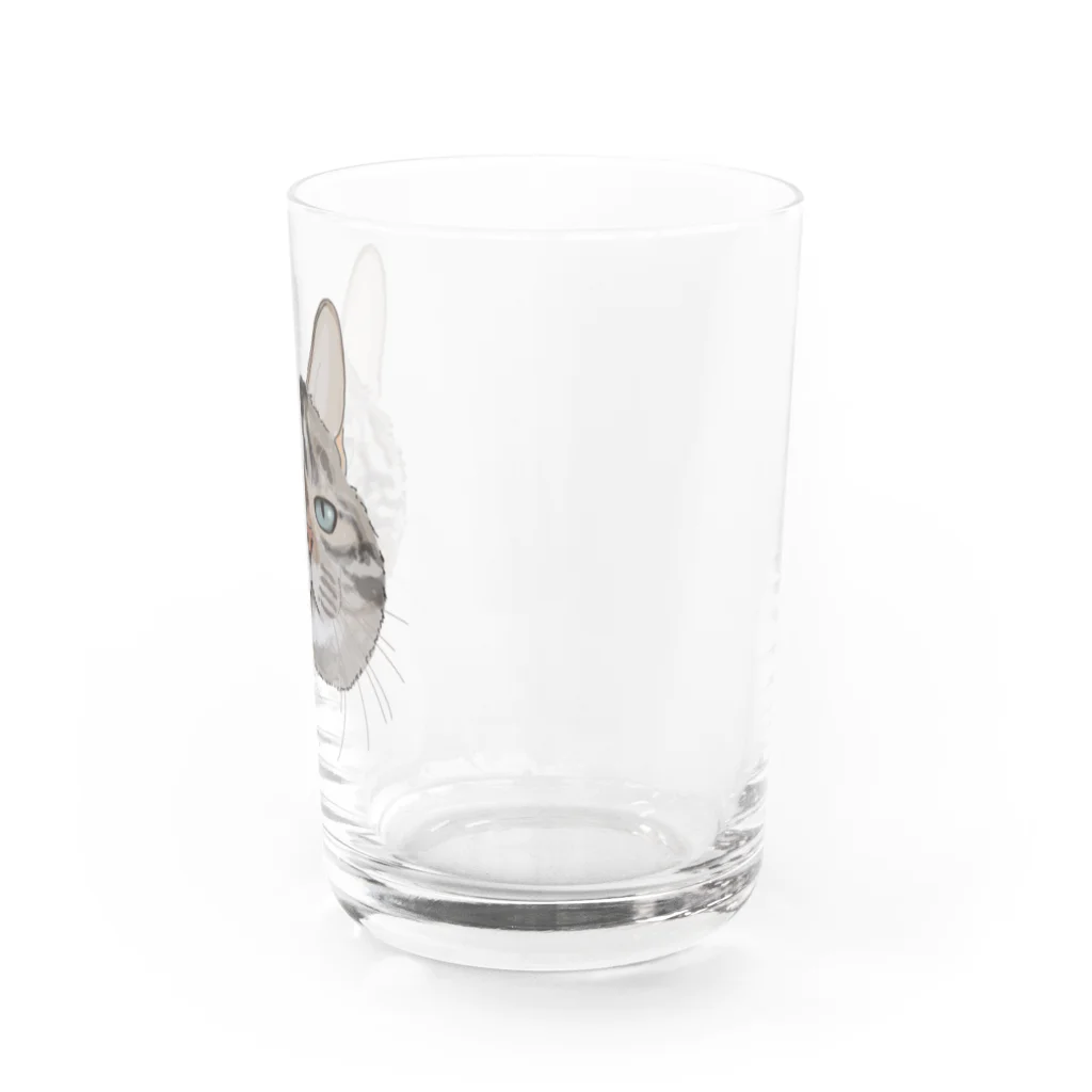 カナタ　フタバのキジトラ柄の猫 Water Glass :right