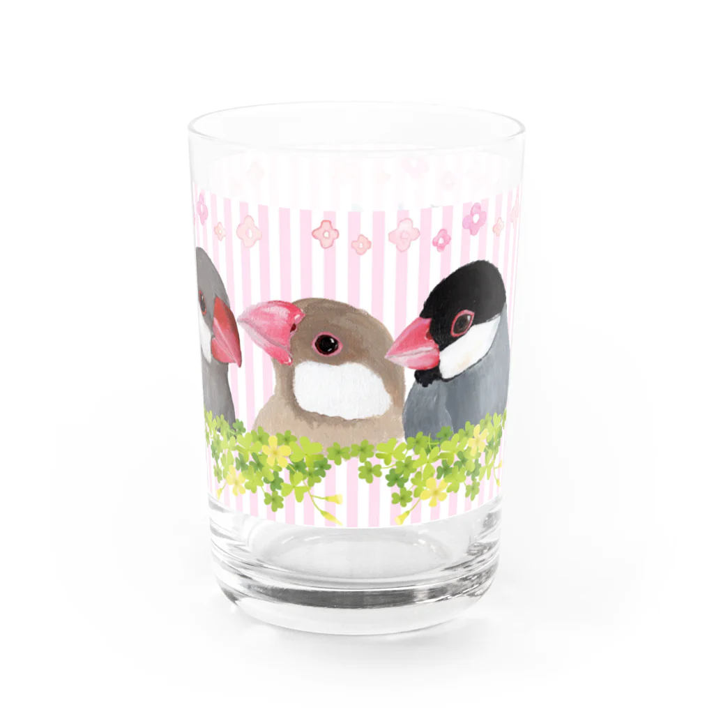 きゃぴあてれびショップ（スズリ店）の文鳥・ぶんちょ～ず｜スズリ限定デザイン グッズ　Jsparrowava sparrow Water Glass :right