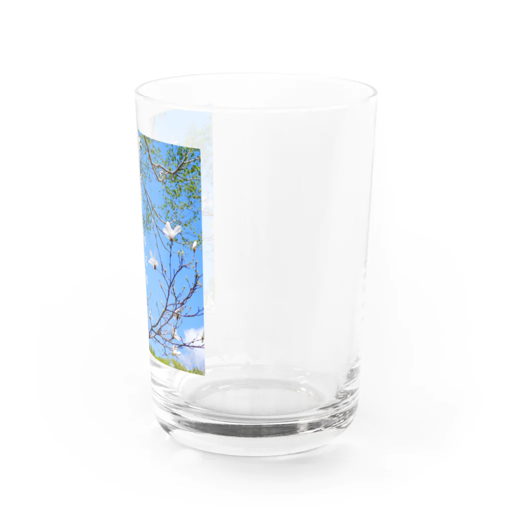 tamao244のtrip long trip Water Glass :right