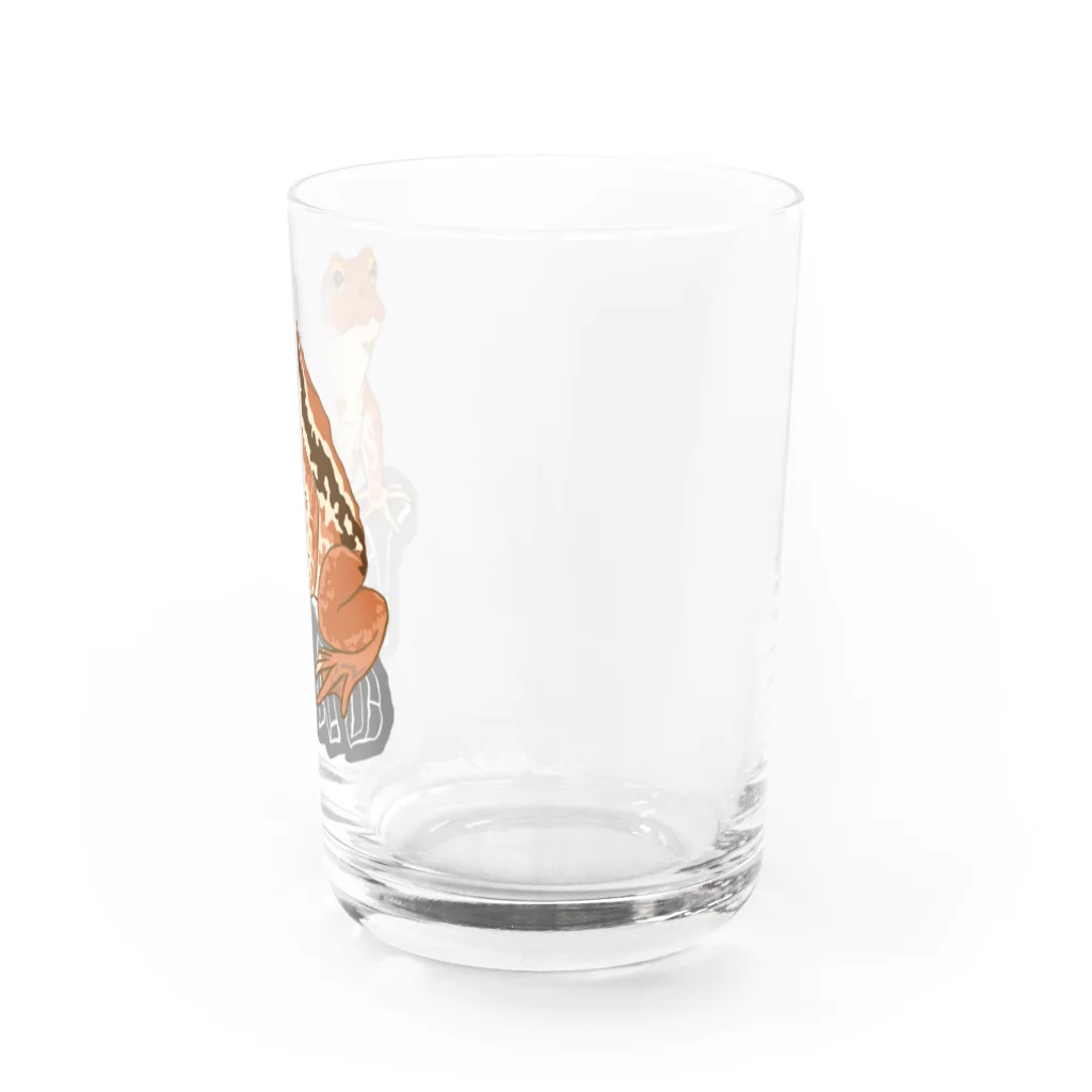 LalaHangeulのTOAD (ヒキガエル) 英字バージョン Water Glass :right