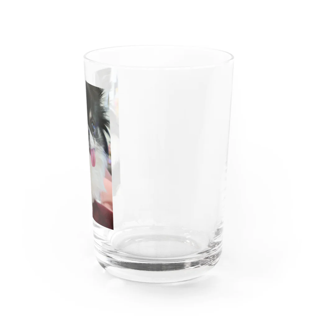 ふじmixの甘い男の子オレオ Water Glass :right