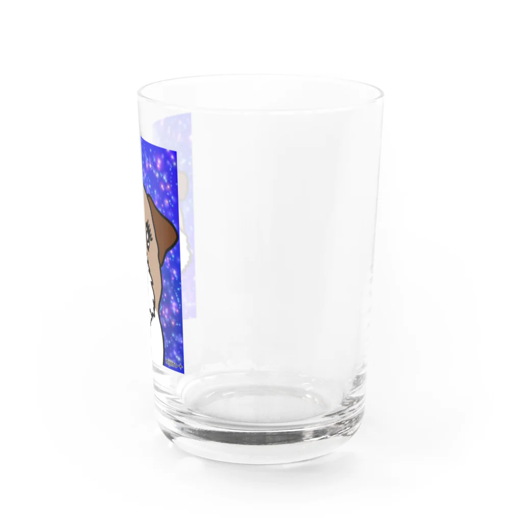 虹色PLUSの夜空を見上げて　ジャックラッセルテリア犬 Water Glass :right