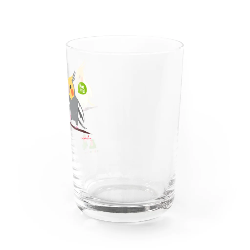 LittleLoroのどノーマルオカメインコとルチノーちょいわき 0350 Water Glass :right