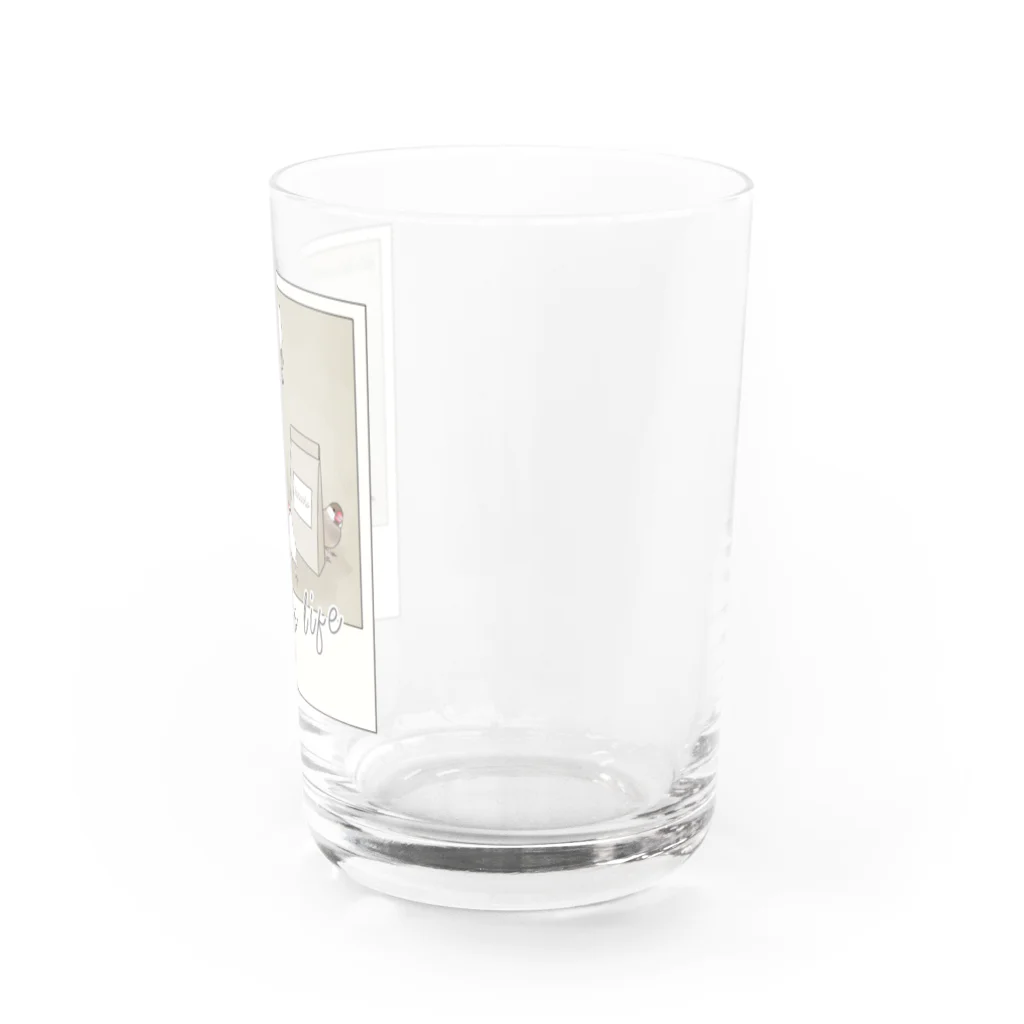 うちの白文鳥 だいぽんの文鳥ライフ コーヒー編 Water Glass :right