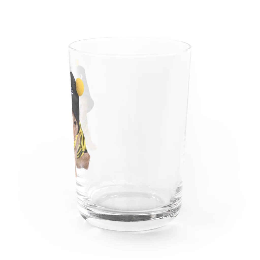 茶太郎🐱とモンブランの茶太郎のコスプレ ハチシリーズ Water Glass :right