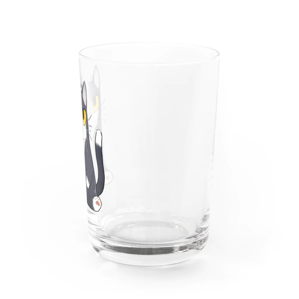 はまきの鼻ペロはちわれ靴下猫 Water Glass :right