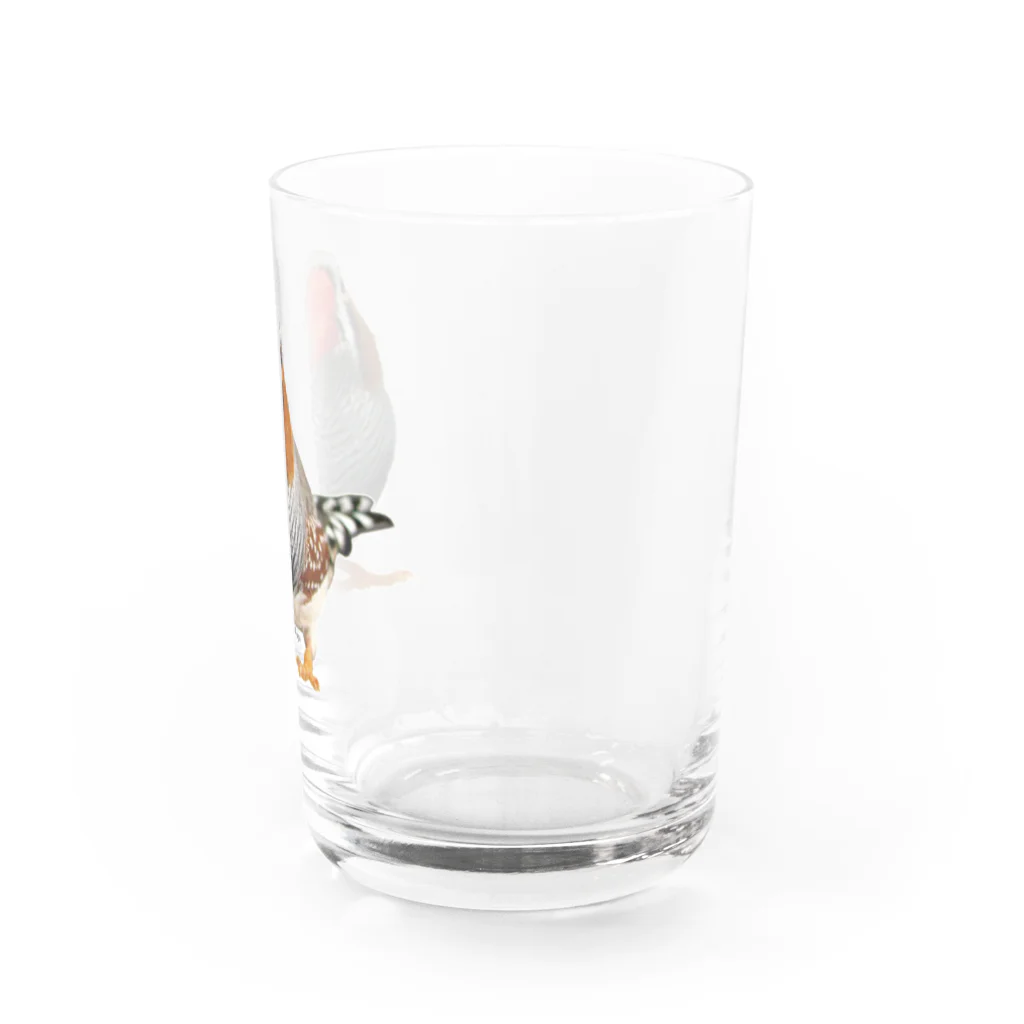 だが屋のおすましキンカ Water Glass :right