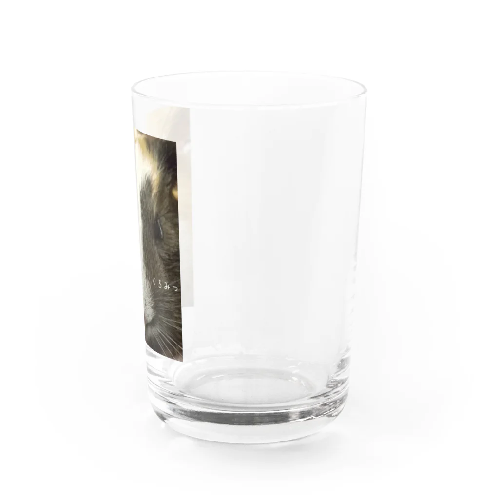 わらびーズもるもるハウスのわらびシリーズ）主原料 Water Glass :right