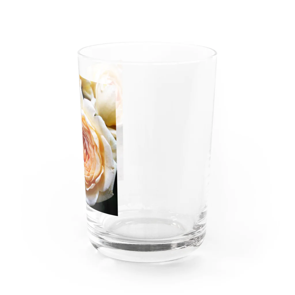 あおい’ｓ libraryのバラrose Water Glass :right