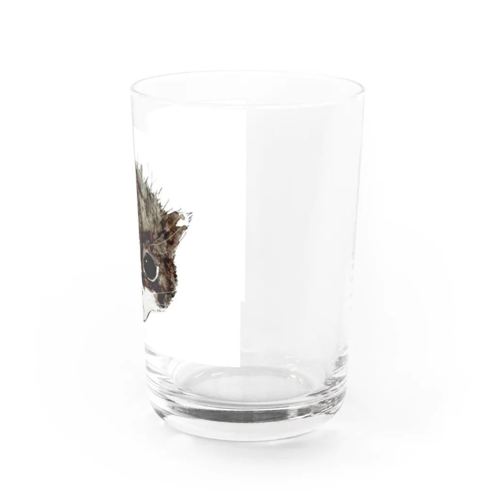 保護猫茶トラ兄弟LIFEの杏ちゃん Water Glass :right