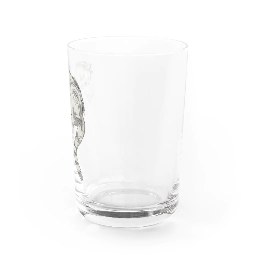 Aimé le chatのねむりおおねこのグッズ Water Glass :right