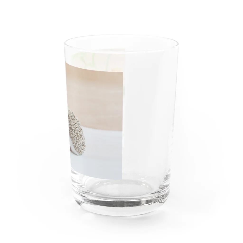 むぎこむ工房の上目遣いのハリネズミ Water Glass :right