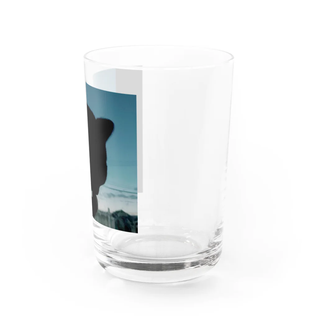 茶色三毛猫ルームの夕方の三毛猫の影 Water Glass :right