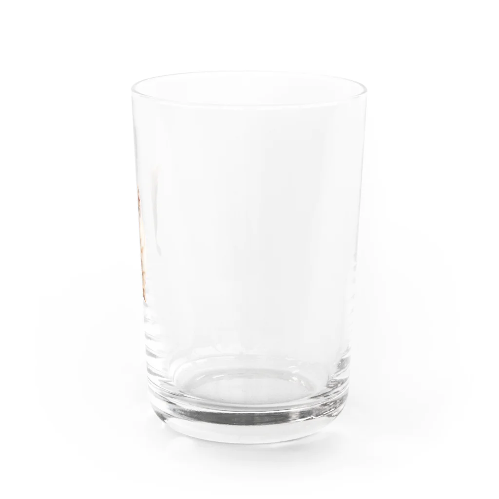 みんなのアイドルめーたんのみんなのアイドルめーたん Water Glass :right