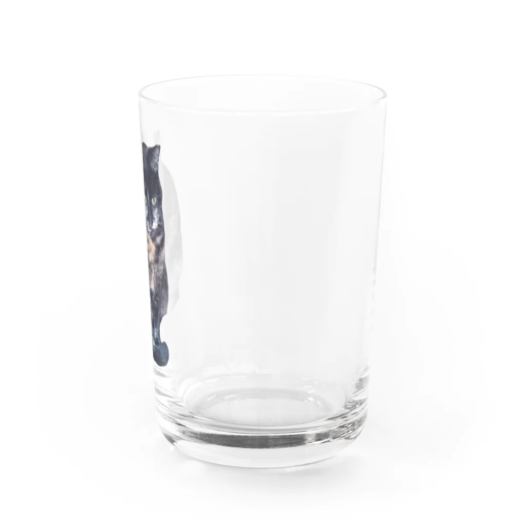 BEEEEEのおすましさびちゃん Water Glass :right