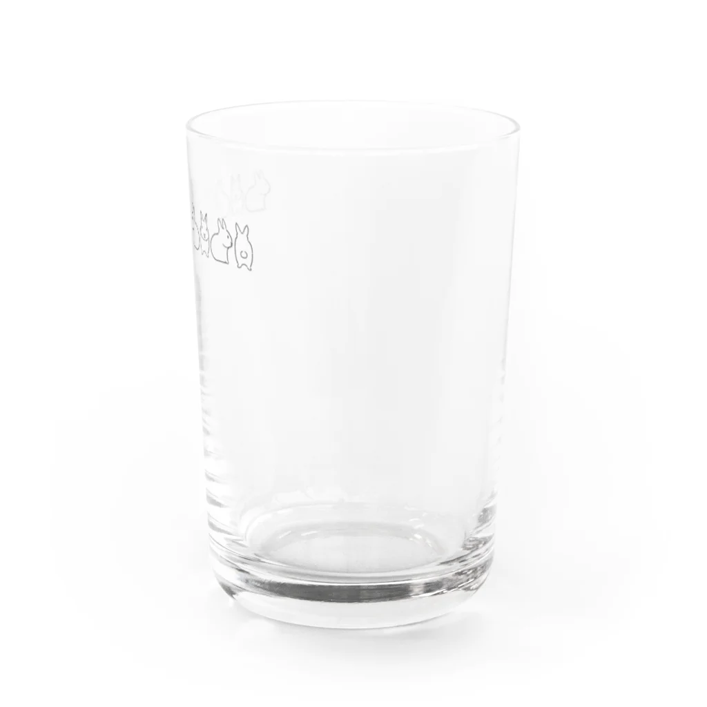 柴犬が好きなともみょんのうさぎがくるくる Water Glass :right