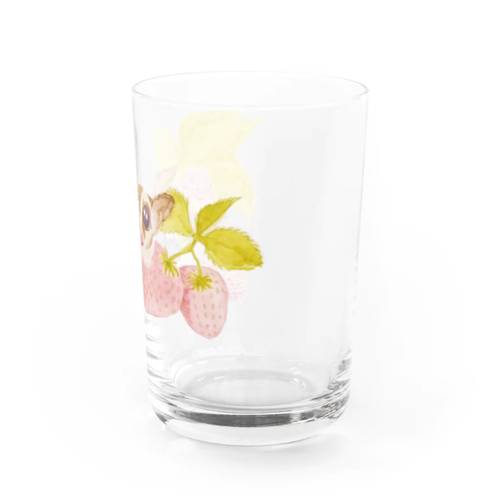 chiro's storeのフクロモモンガVer.2 Water Glass :right