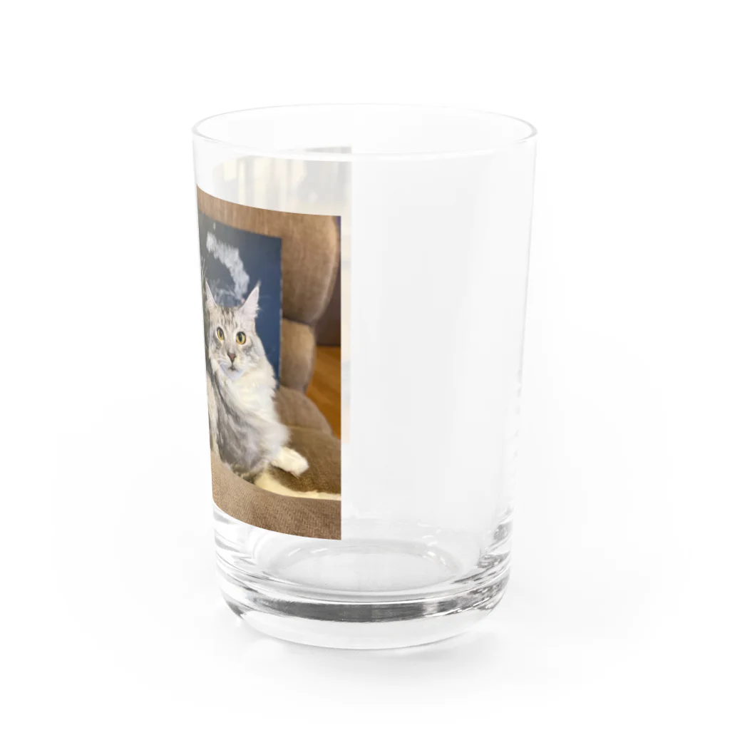 ikimonodaisukishyonenのQooちゃんポーズを決める Water Glass :right