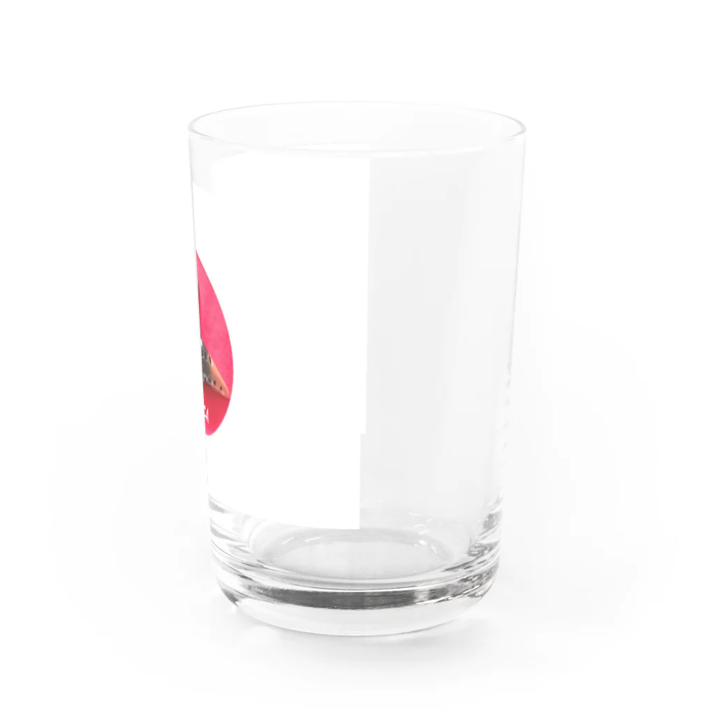 IRUCA OcarinaのIRUCA Ocarina (ロゴ入) Water Glass :right