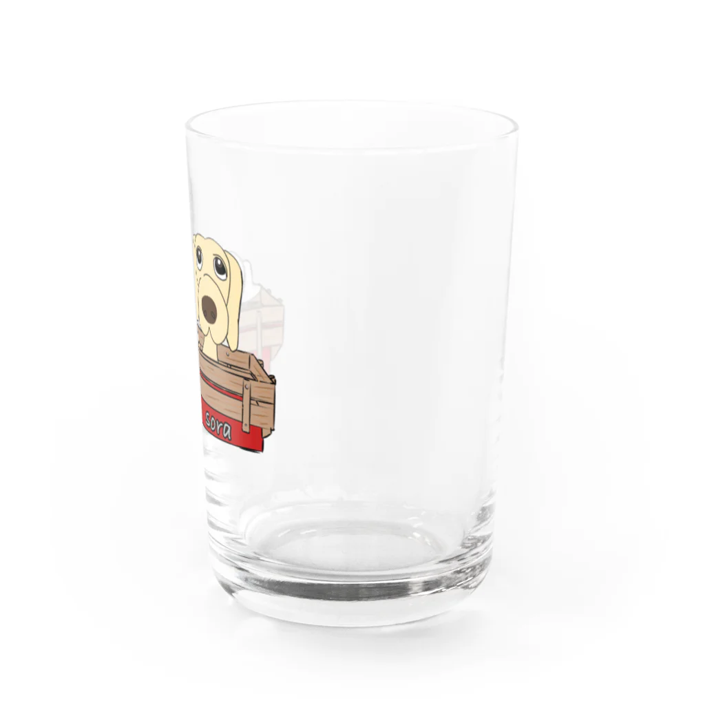 ソラッキーのsora  carl Water Glass :right