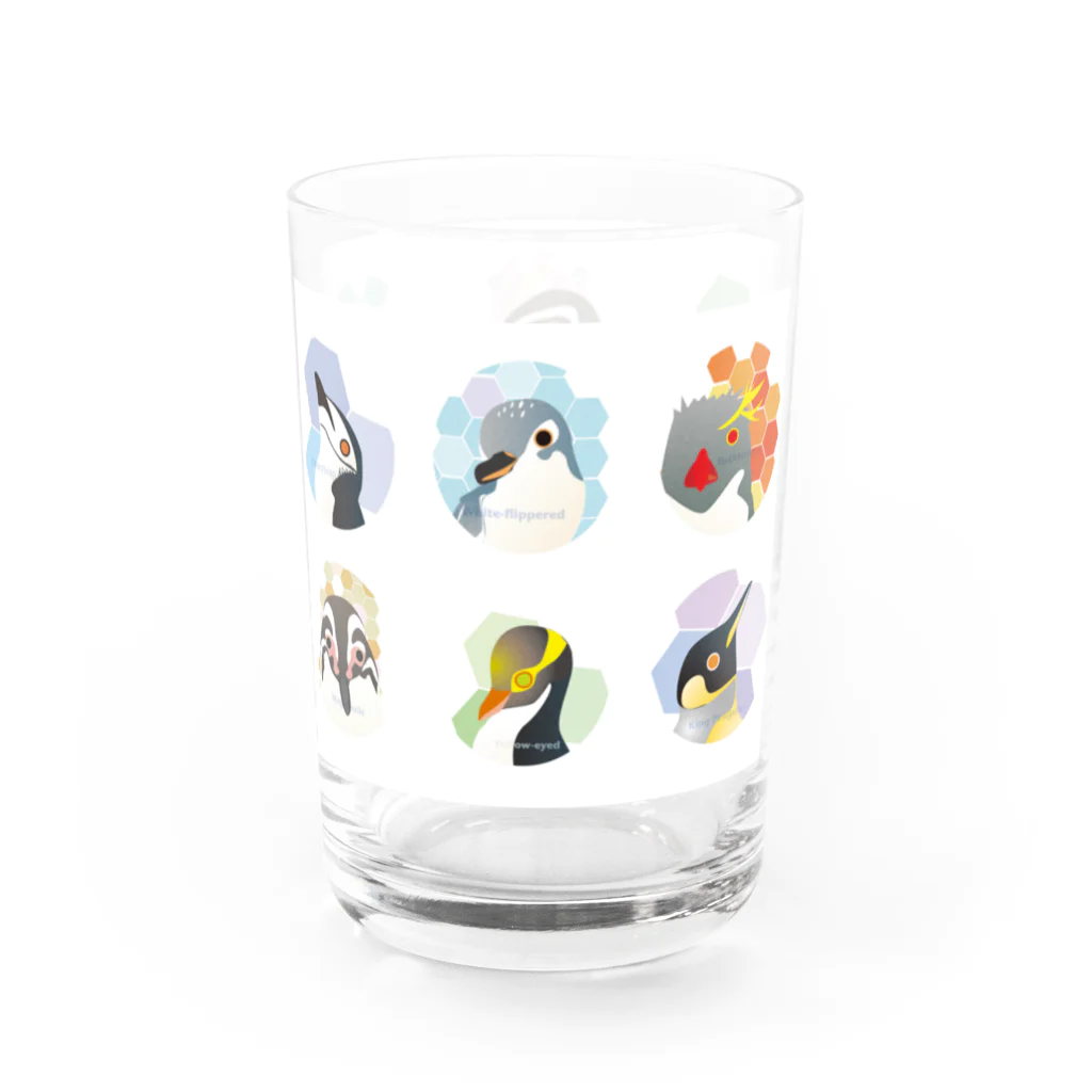 ペンギンパカリの12ペンギンズ Water Glass :right