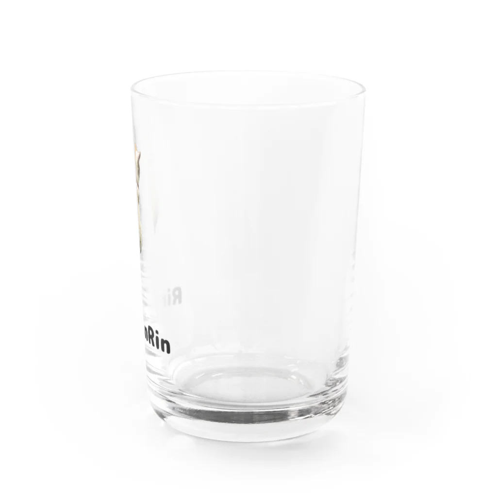 RinRinRinの後ろ向きの猫ちゃん Water Glass :right