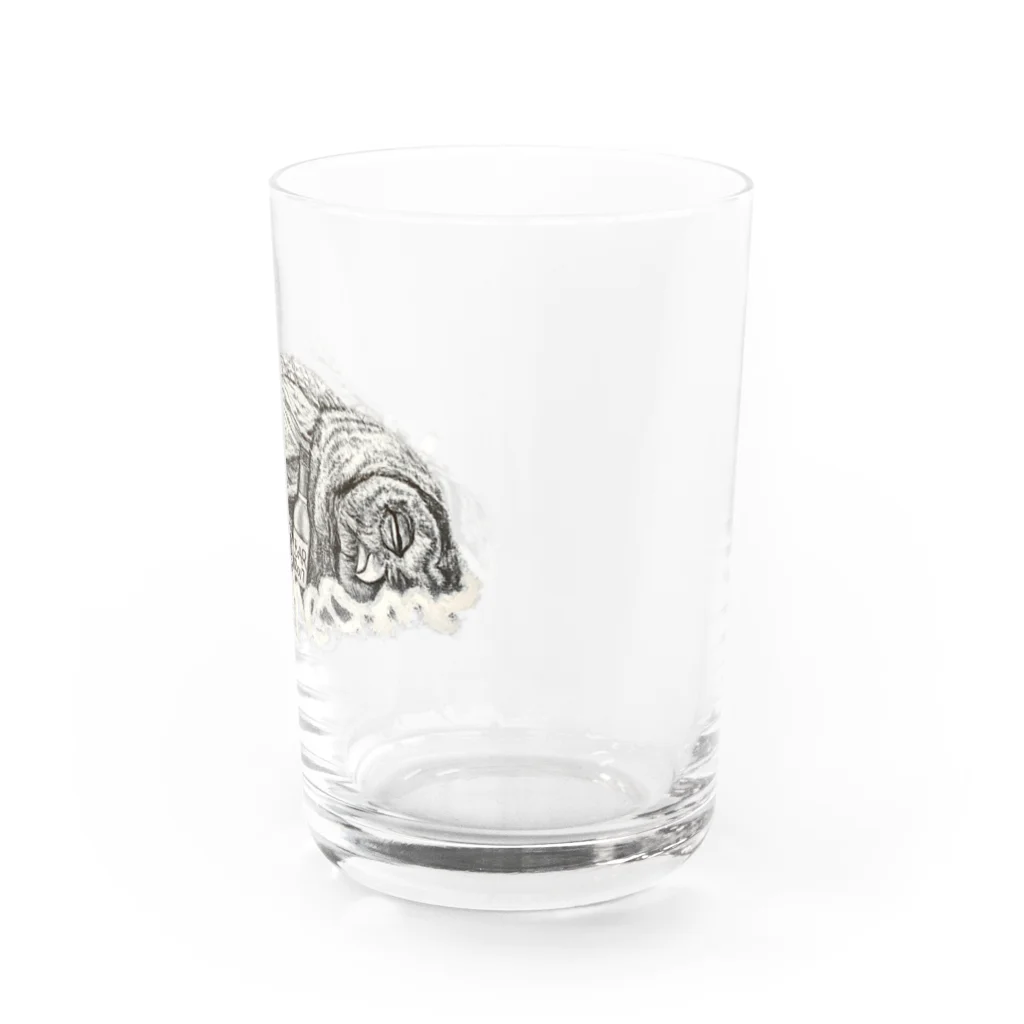 Owl's Dream　アウルズドリームのdreaming owl Water Glass :right