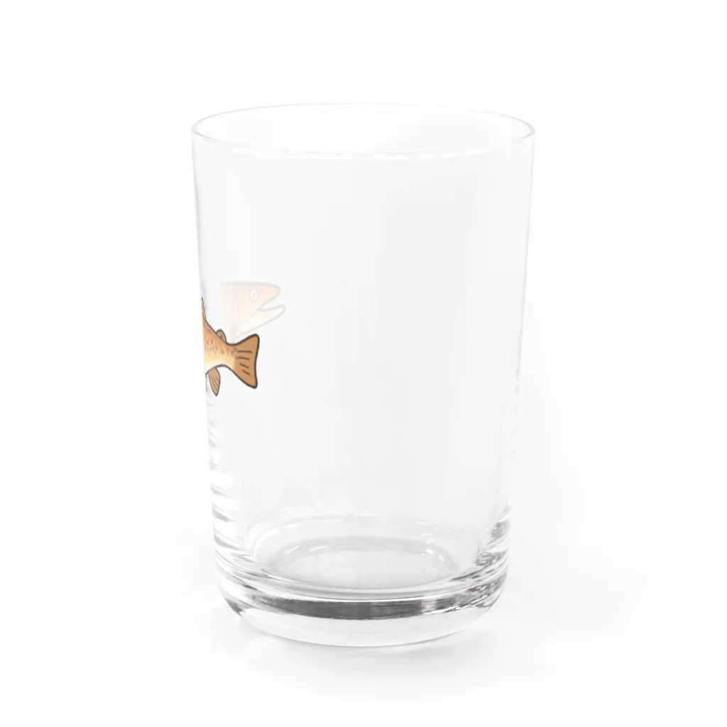 のぞみユニ🐟のブラウントラウト（カラー） Water Glass :right