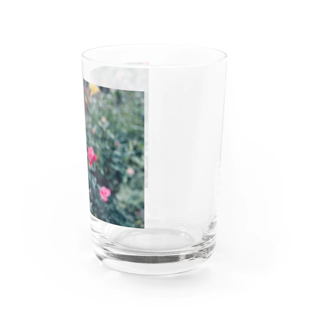 朔夜の薔薇艶 Water Glass :right