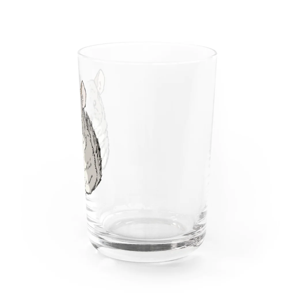 tanuki_msのチンチラ Water Glass :right