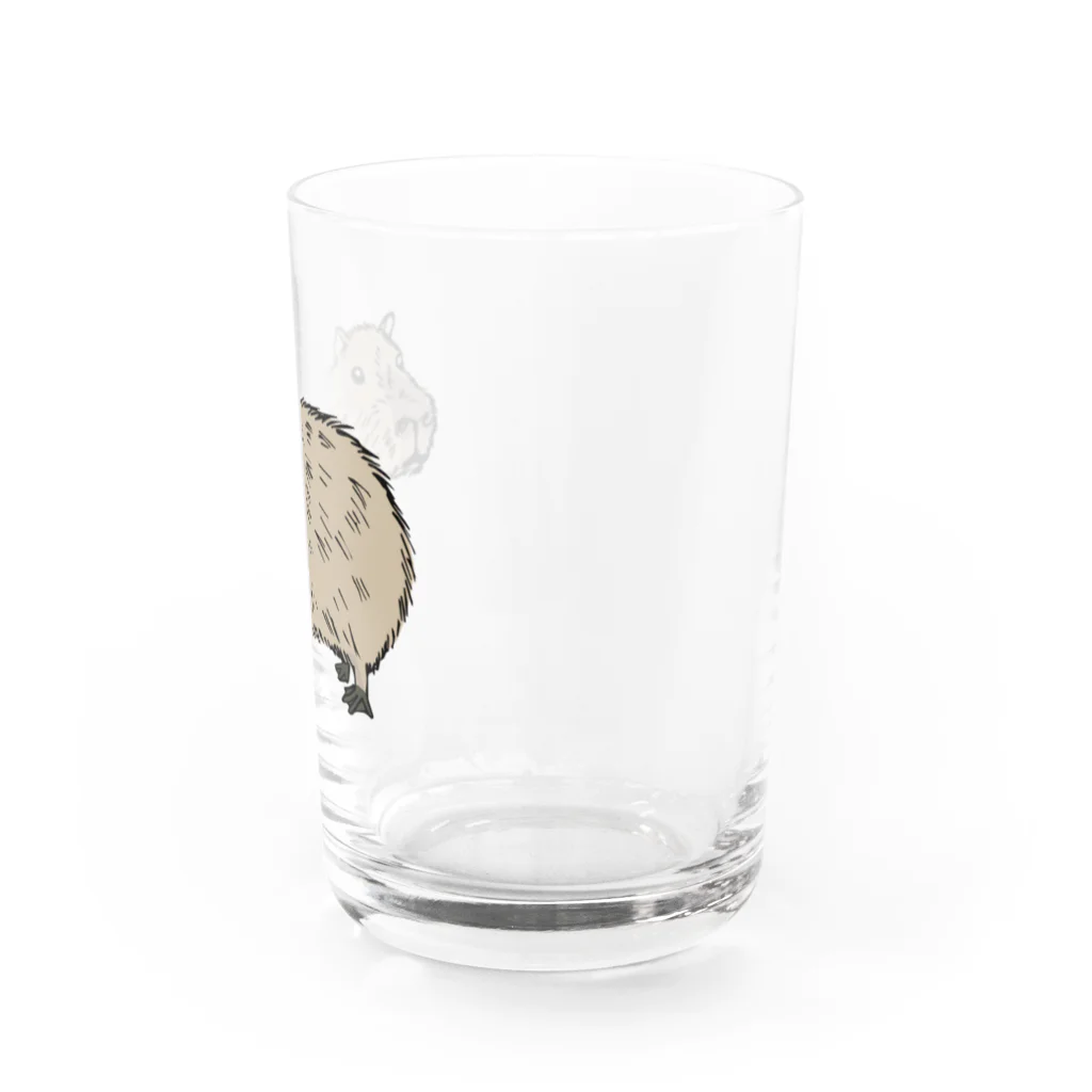 tanuki_msのカピバラ Water Glass :right