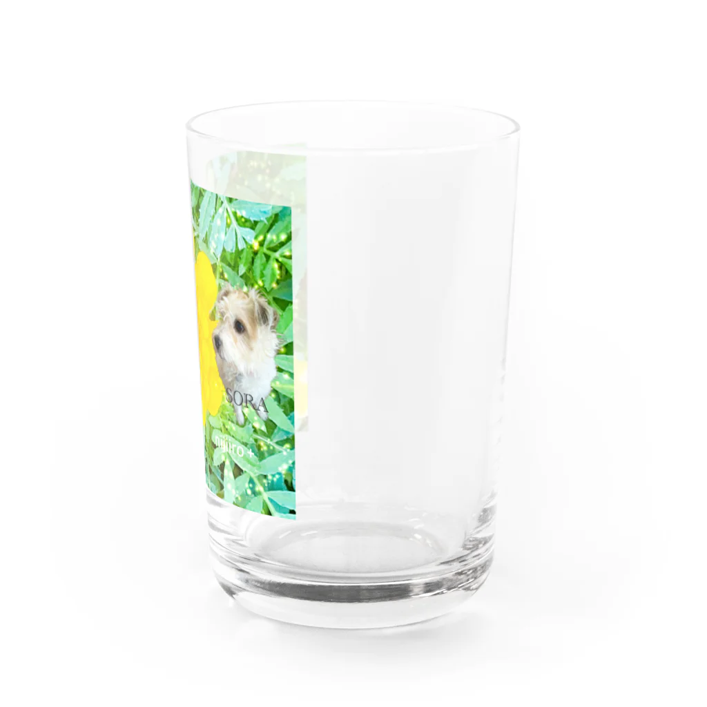 虹色PLUSのマリーゴールドとジャックラッセルテリア犬 Water Glass :right