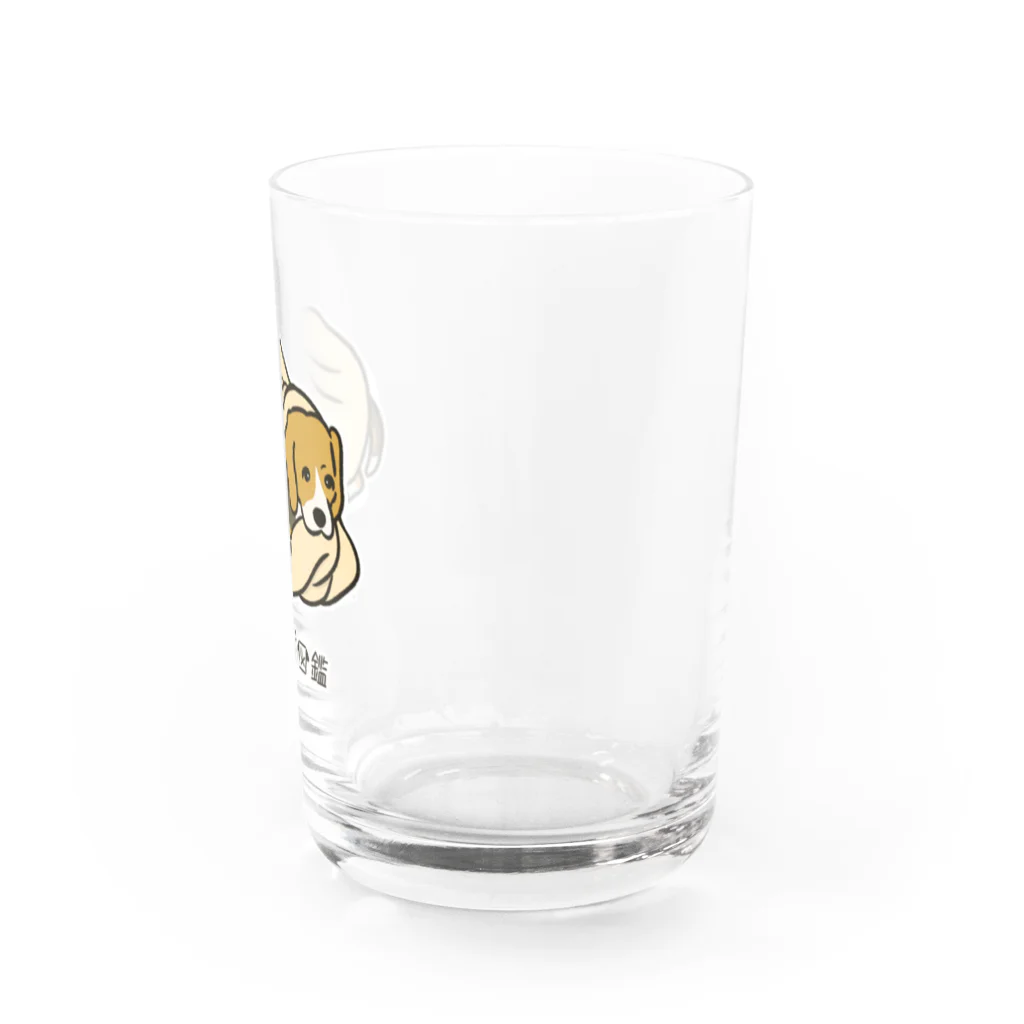 いぬころ｜変な犬図鑑のNo.102 モグリーヌ[2] 変な犬図鑑 Water Glass :right