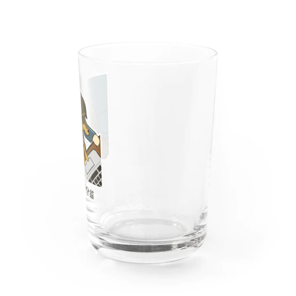 いぬころ｜変な犬図鑑のNo.144 オジャマムシーヌ[3] 変な犬図鑑 Water Glass :right