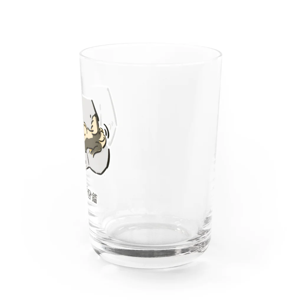 いぬころ｜変な犬図鑑のNo.164 ダッコキライーヌ[3] 変な犬図鑑 Water Glass :right
