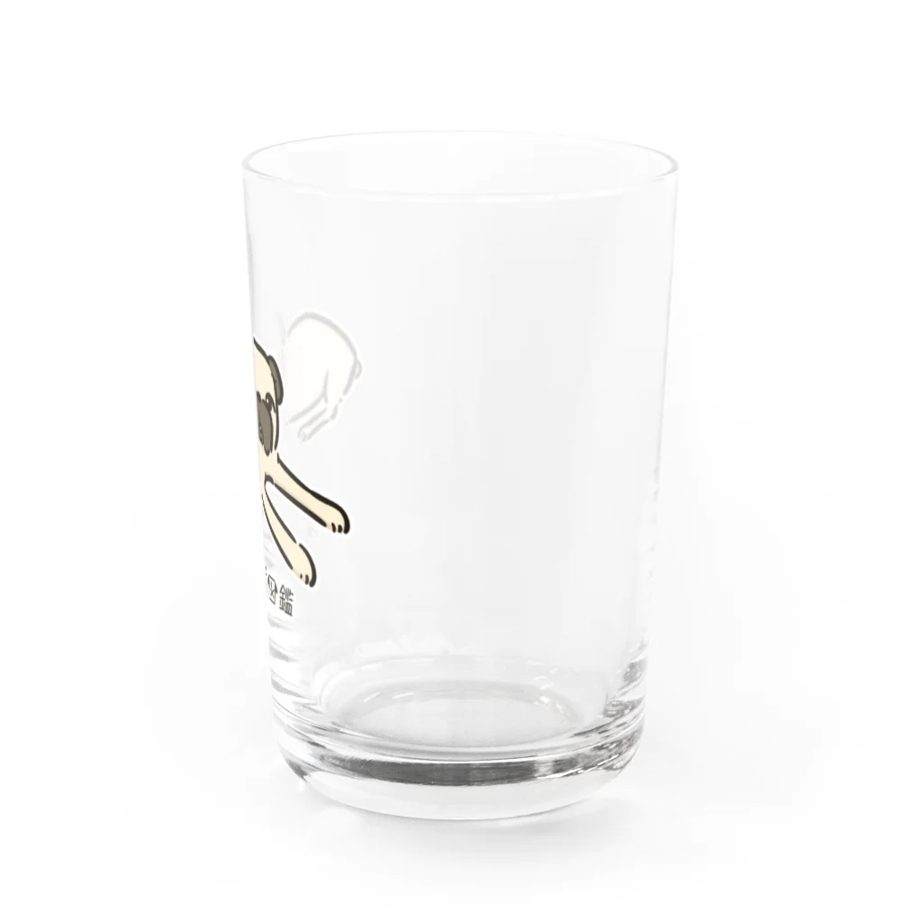 いぬころ｜変な犬図鑑のNo.168 アザトイーヌ[2] 変な犬図鑑 Water Glass :right