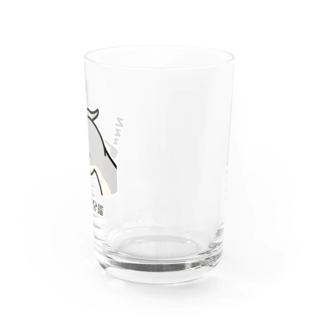 いぬころ｜変な犬図鑑のNo.197 クチハンビラキーヌ[2] 変な犬図鑑 Water Glass :right