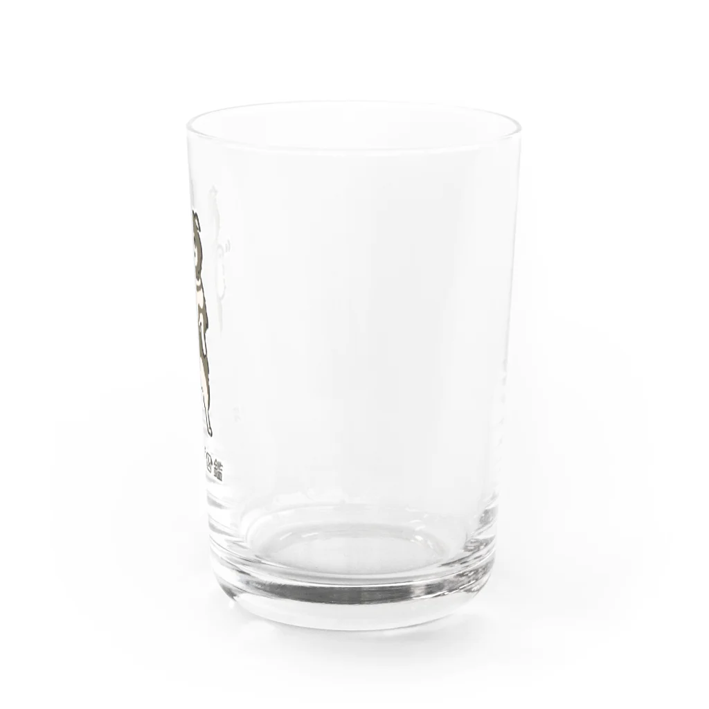 いぬころ｜変な犬図鑑のNo.198  マネキーヌ[1] 変な犬図鑑 Water Glass :right