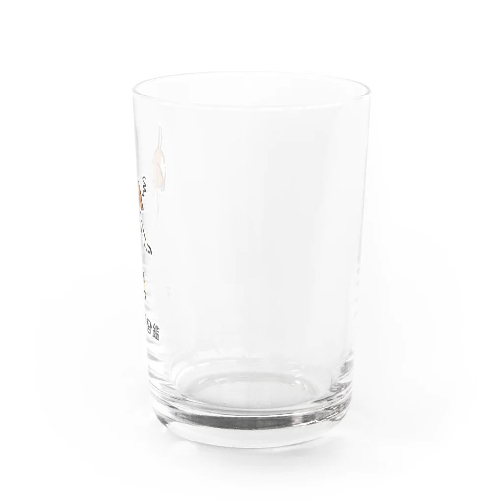 いぬころ｜変な犬図鑑のNo.207 オモチャコワイーヌ[3] 変な犬図鑑 Water Glass :right