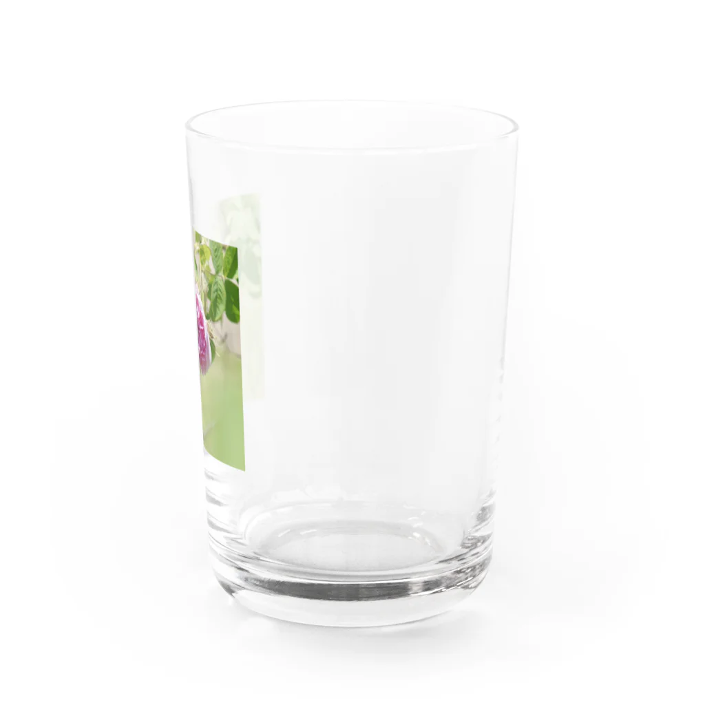 Amie's Gardenのハーブのお店のダマスクローズ Water Glass :right