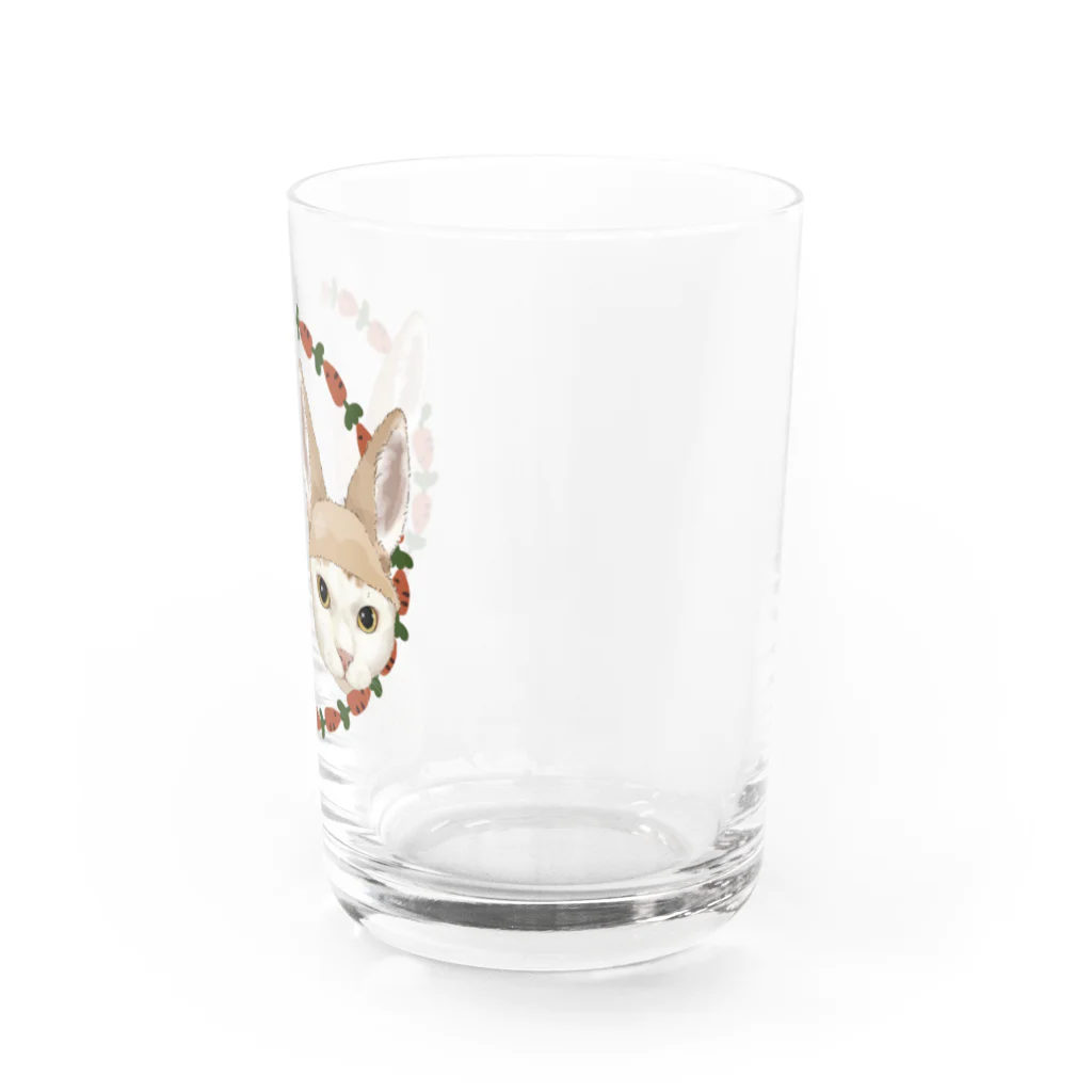 みきぞーん｜保護猫 ミッキー画伯と肉球とおともだちのrin tama usagi Water Glass :right