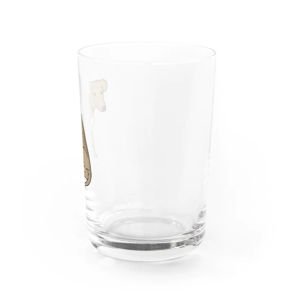 つなホーク🦜🐊🦅🦉のつなグッズ Water Glass :right