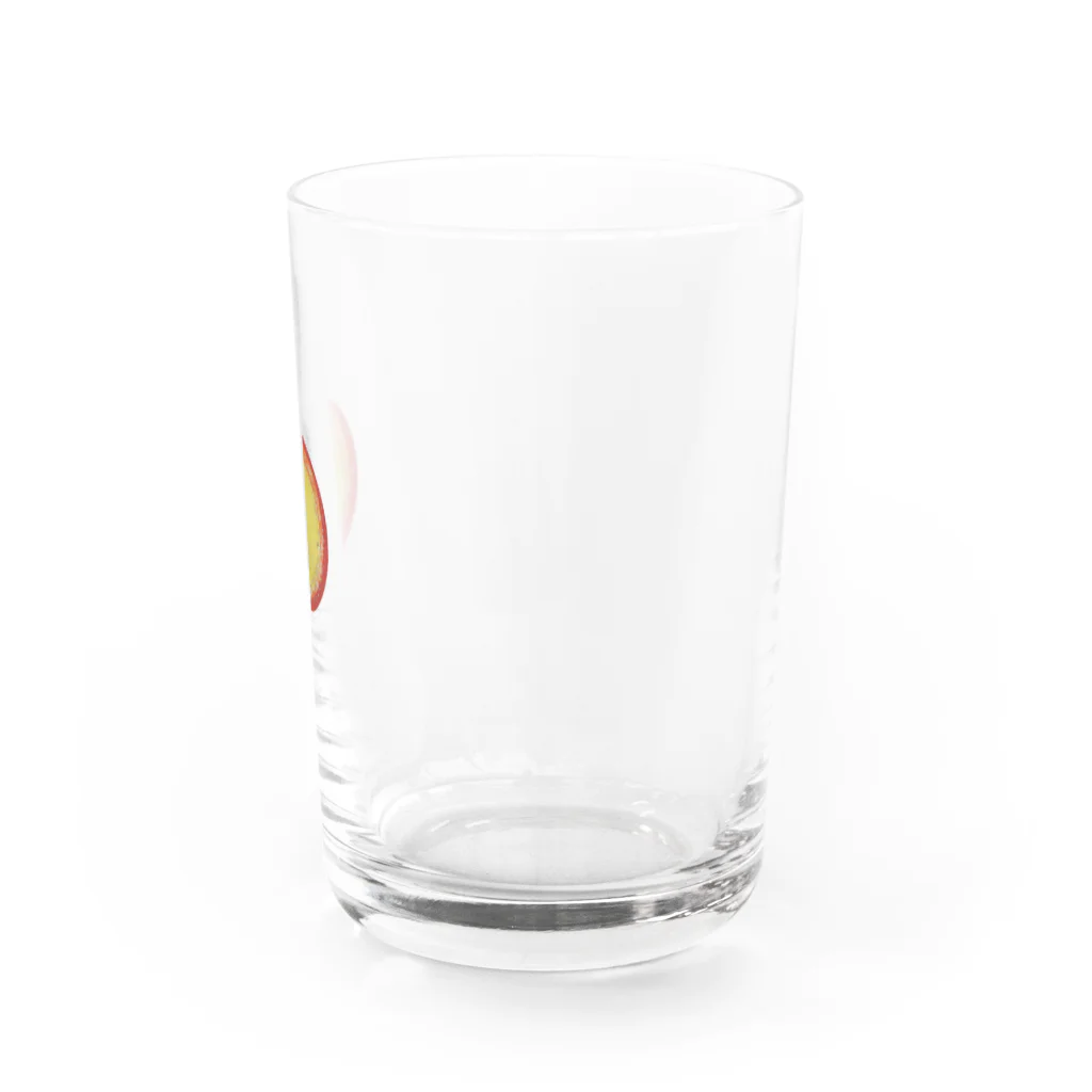 火土水商店の太陽のグラス Water Glass :right