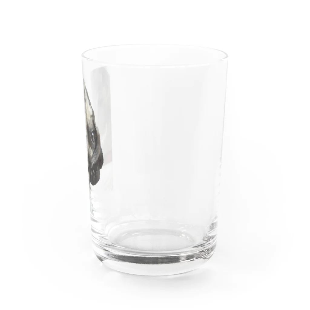 パグのてんちゃんのパグのてんちゃん Water Glass :right