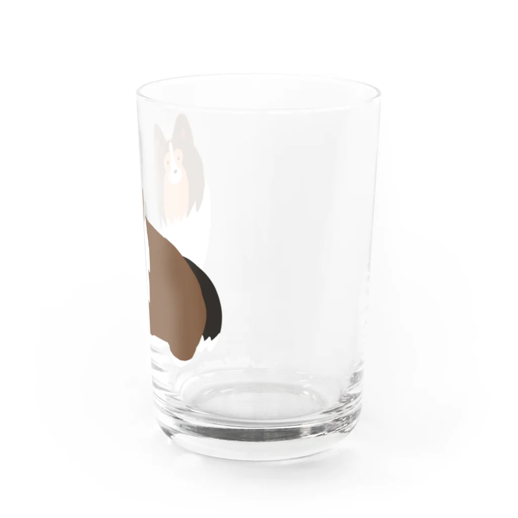 Kotetsu diary(SUZURI店)のゆるゆるシェルティ Water Glass :right