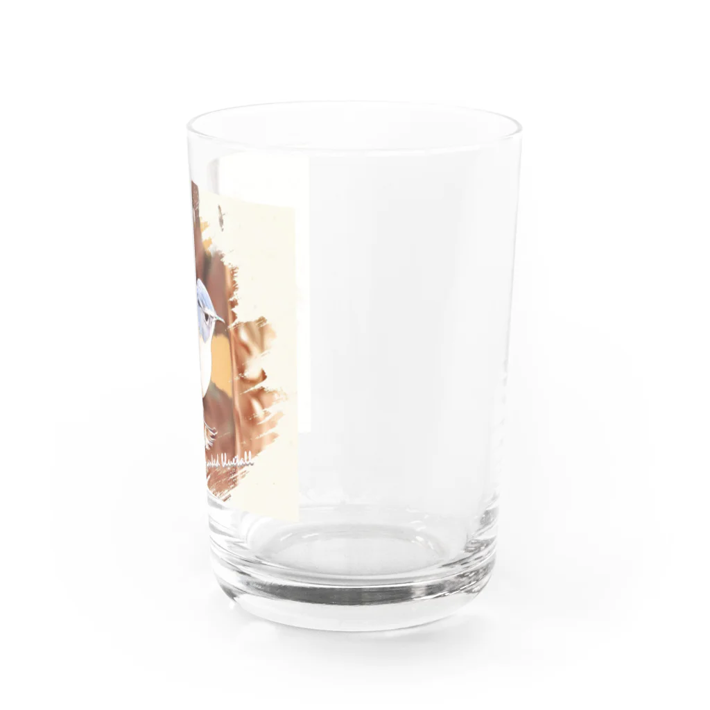 jun-hoshiのルリビタキ ♂ Water Glass :right