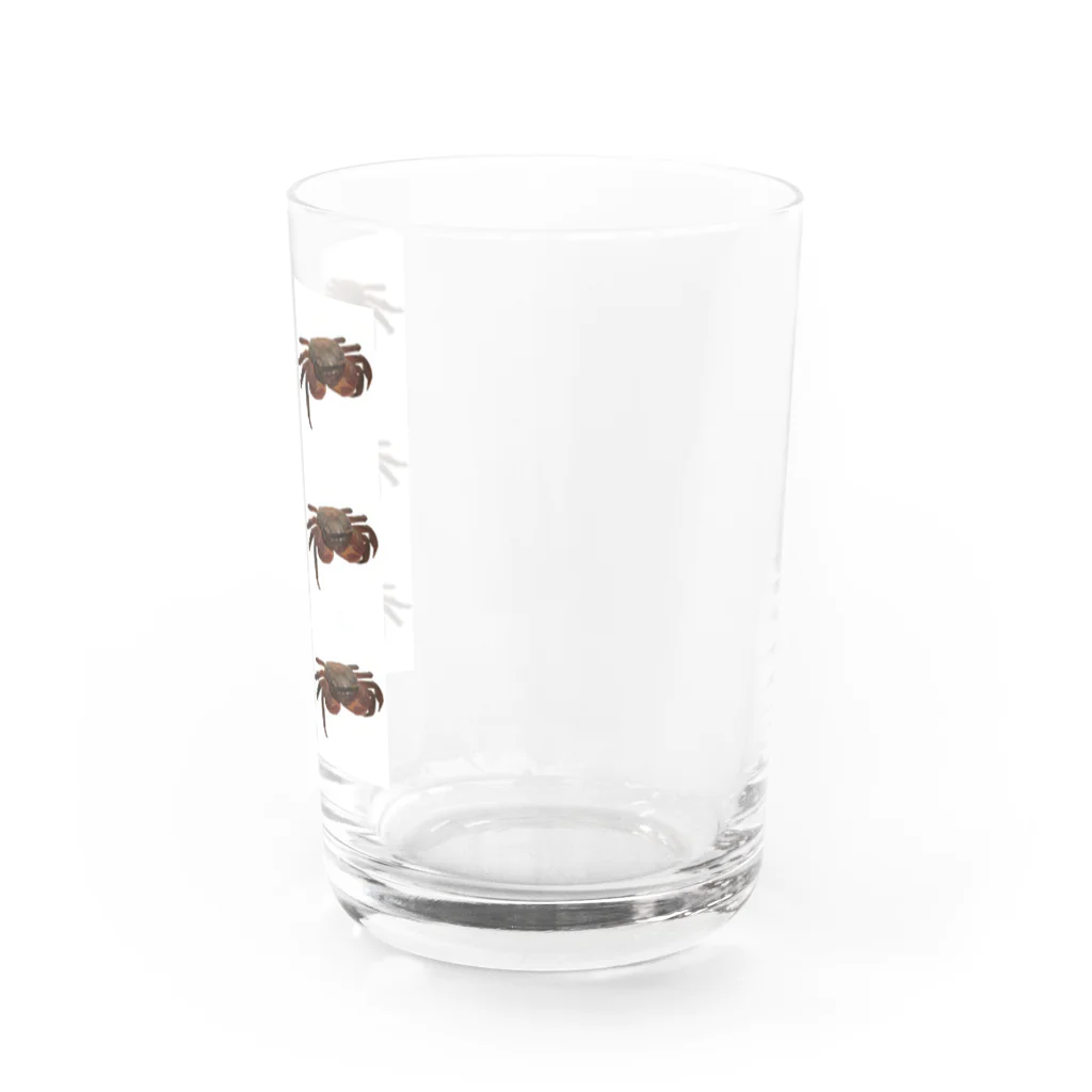 たま。のカメラ目線なアカテガニのカエデちゃん Water Glass :right