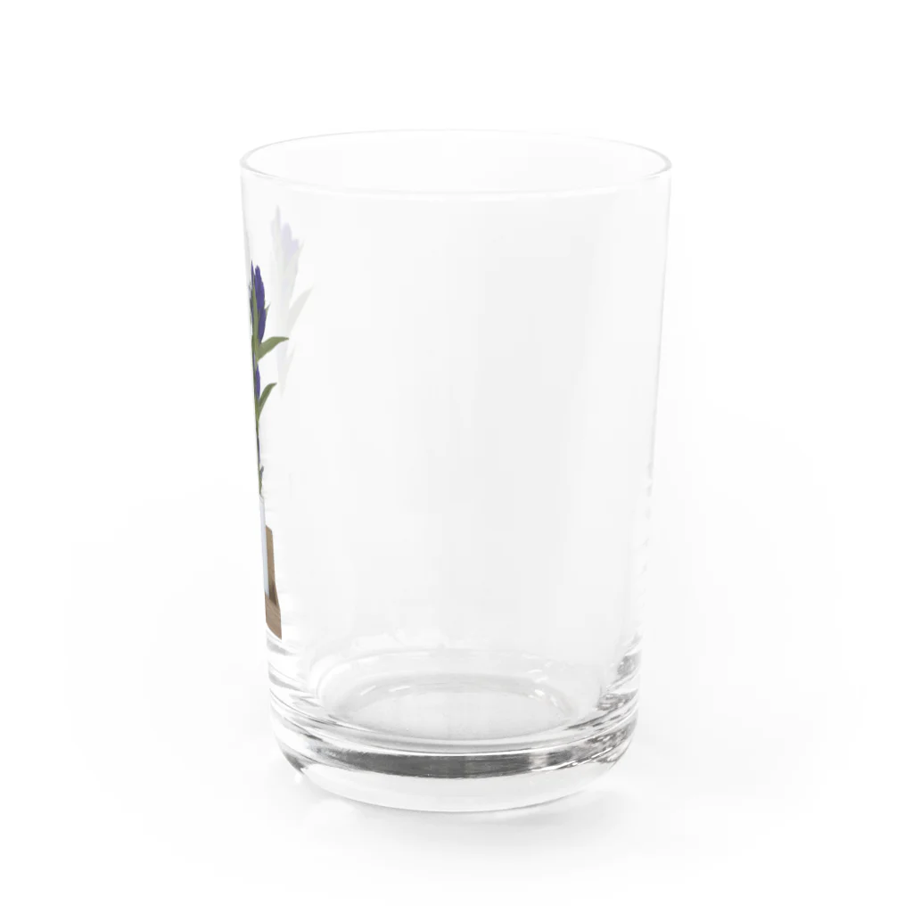 ビョンの名はリンドウ Water Glass :right