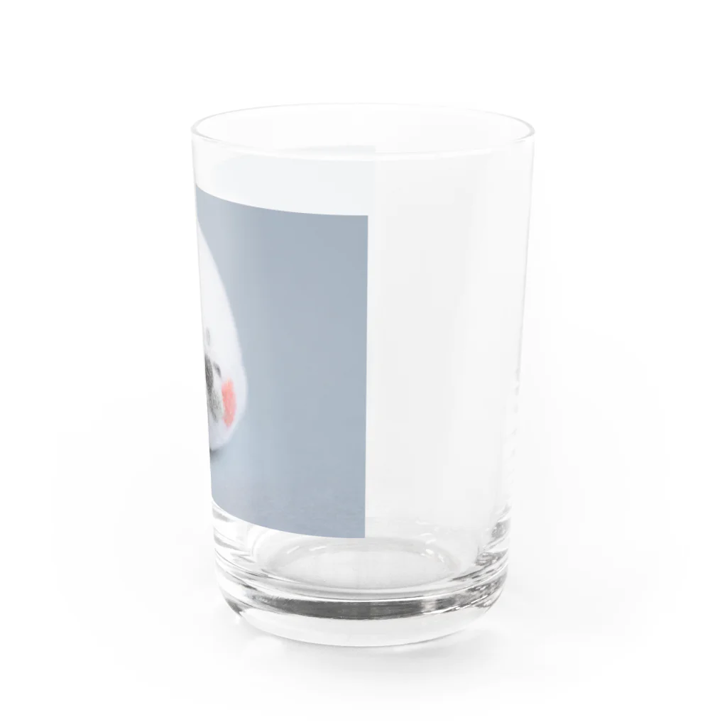 ごまめのうたたねアザラシ Water Glass :right