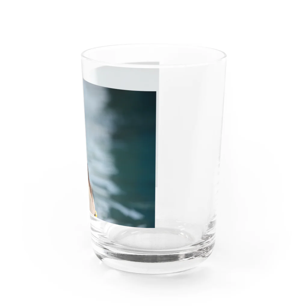 Laylandのおぺんぴ Water Glass :right